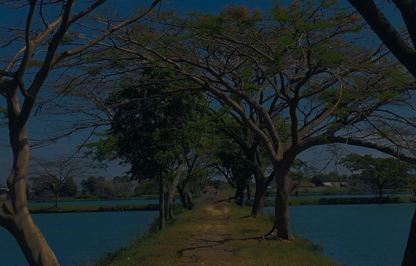/destinations/1726848394741-desa-bg.webp