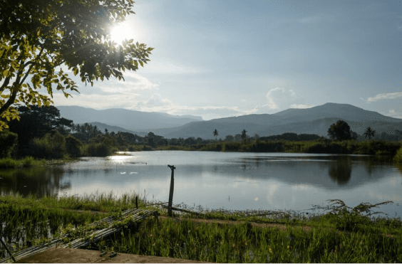 danau